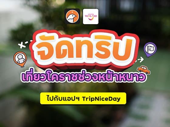 Click the images to go to the post.
