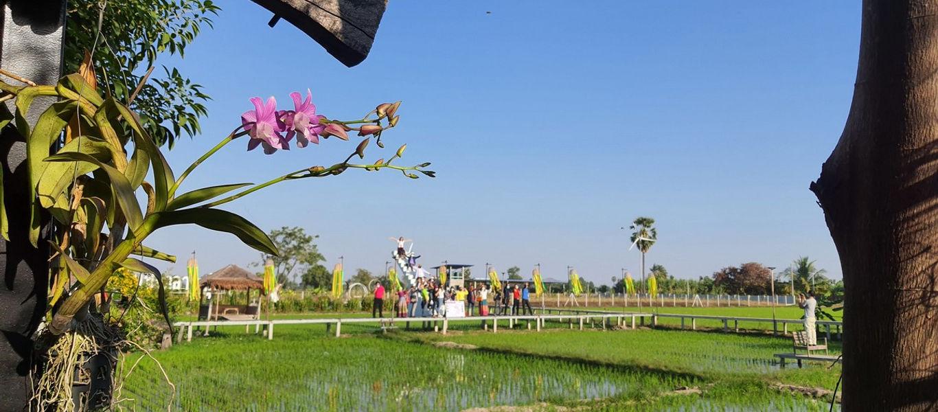 เส้นทางเที่ยวตามใจ นาทีนี้ที่ชัยนาท FIT - Free Independent Traveler @Chainat