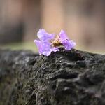 รูปภาพที่ 3