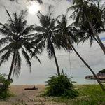 รูปภาพที่ 1