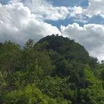 รูปภาพที่ 4