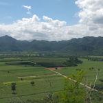 รูปภาพที่ 3