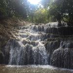 รูปภาพที่ 1