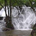 รูปภาพที่ 1