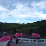 รูปภาพที่ 6