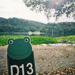 รูปภาพที่ 5