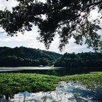รูปภาพที่ 4