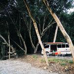 รูปภาพที่ 1