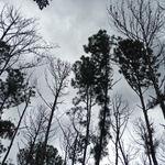 รูปภาพที่ 5