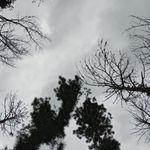 รูปภาพที่ 2