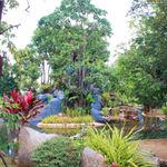 รูปภาพที่ 5