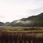 รูปภาพที่ 2