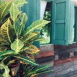 รูปภาพที่ 1