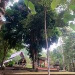 รูปภาพที่ 2