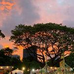 รูปภาพที่ 5