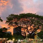 รูปภาพที่ 1
