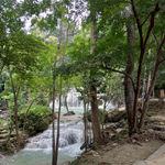 รูปภาพที่ 8