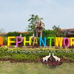 รูปภาพที่ 4
