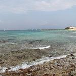 รูปภาพที่ 2