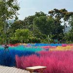 รูปภาพที่ 3