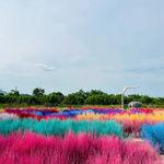 รูปภาพที่ 1