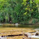 รูปภาพที่ 4