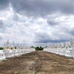 รูปภาพที่ 8