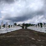 รูปภาพที่ 5