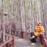 รูปภาพที่ 5