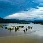 รูปภาพที่ 8