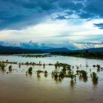 รูปภาพที่ 6