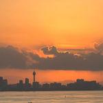 编号7