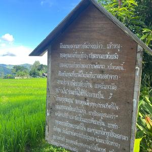 รูปภาพที่ 2