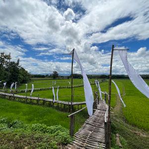 รูปภาพที่ 1