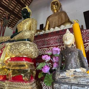 รูปภาพที่ 5