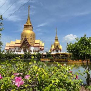 รูปภาพที่ 5