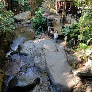 รูปภาพที่ 1