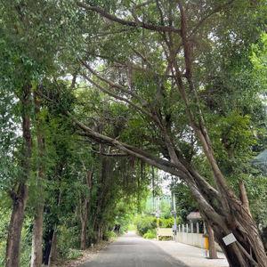 รูปภาพที่ 2