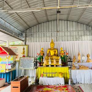 รูปภาพที่ 8