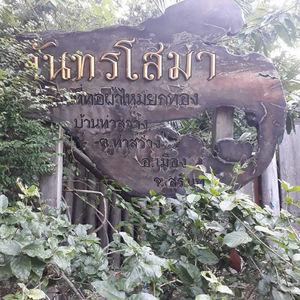 รูปภาพที่ 1