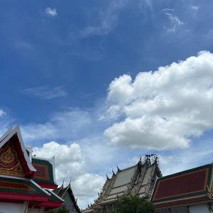 รูปภาพที่ 8