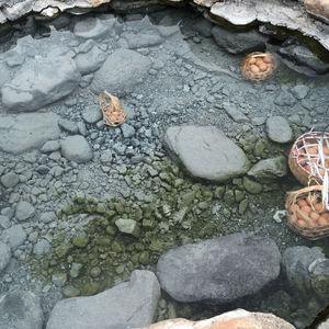 รูปภาพที่ 4