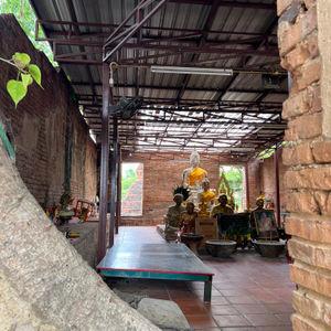 รูปภาพที่ 4