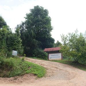 รูปภาพที่ 1