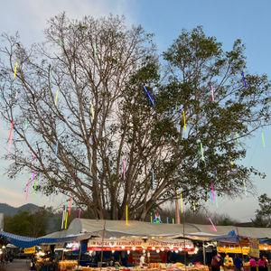 รูปภาพที่ 6