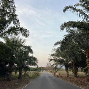 รูปภาพที่ 3