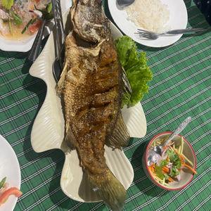 รูปภาพที่ 4