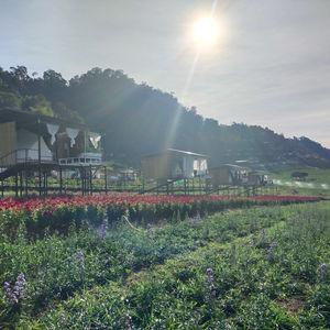 编号3