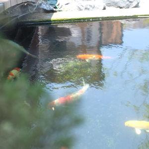 รูปภาพที่ 2