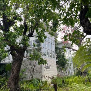 รูปภาพที่ 3